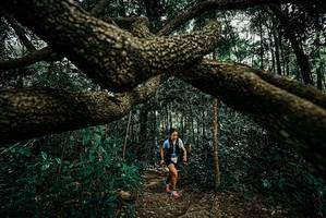 BIB: 
                            <button type="button" onclick="openModal(25707998)" class="btn btn-primary btn-sm float-right btn-popup" data-toggle="modal" data-target=".modal-high-quality">
                        <i class="fas fa-shopping-cart"></i> Add to Cart
                    </button>
                                            <button type="button" onclick="isThisMe(25707998, true)" class="btn btn-success btn-sm float-right btn-popup btn-isme hidden" data-toggle="tooltip" data-placement="bottom" title="นี่คือรูปของคุณใช่ไหม คลิกที่นี่เพื่อเอาเข้าอัลบั้ม">
                        <i class="fas fa-plus"></i> Add to album
                    </button>
                    <button type="button" onclick="isThisMe(25707998, false)" class="btn btn-warning btn-sm float-right btn-popup btn-isnotme hidden">
                        <i class="fas fa-ban"></i> Remove from album
                    </button>